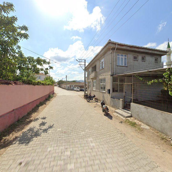 Fotoğraf 3