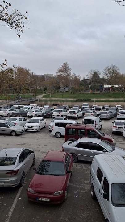 Fotoğraf 3