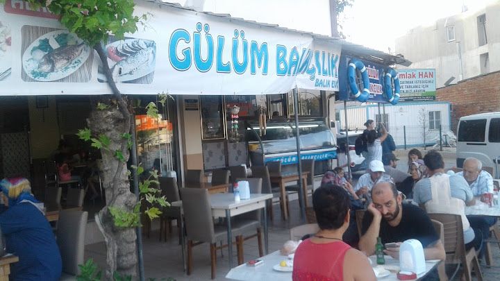 Gülüm balık