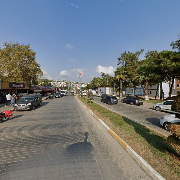 Fotoğraf 4