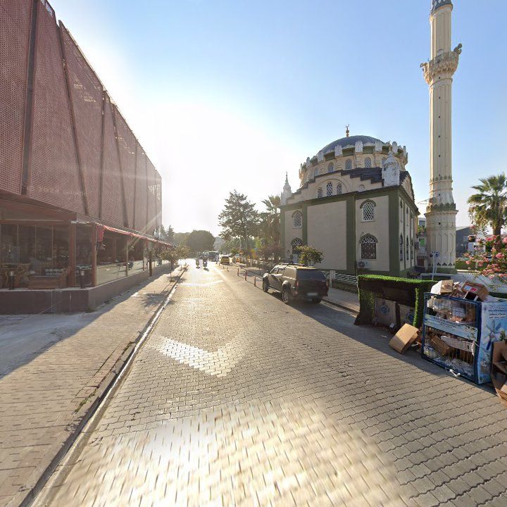 Fotoğraf 3