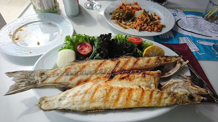 Fotoğraf 31