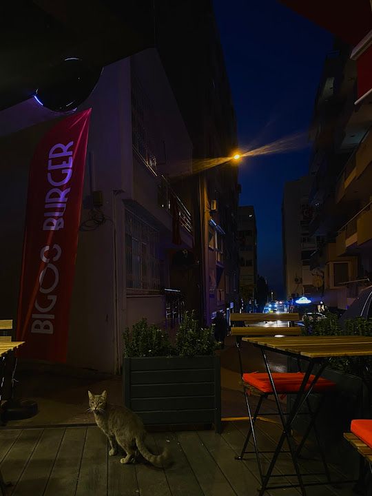Yorum fotoğrafı 3