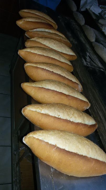 Fotoğraf 9