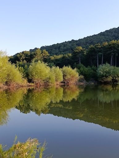 Fotoğraf 44