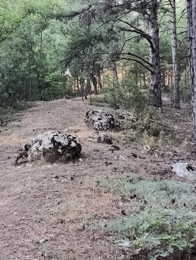Fotoğraf 39