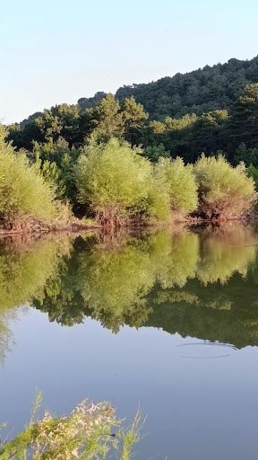 Fotoğraf 41
