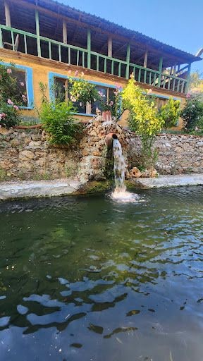 Yorum fotoğrafı 6