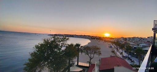 Fotoğraf 15