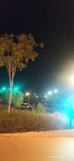 Fotoğraf 12