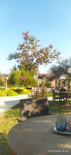 Fotoğraf 14