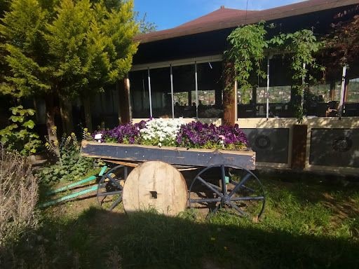 Yorum fotoğrafı 5