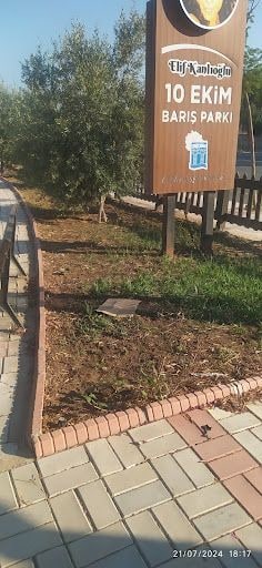 Fotoğraf 15