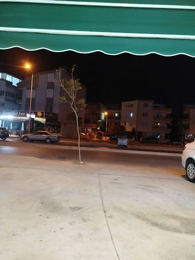 Fotoğraf 33