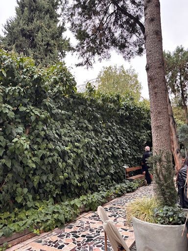 Yorum fotoğrafı 4