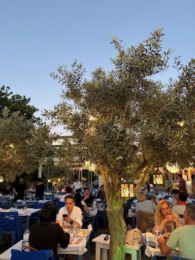 Fotoğraf 12