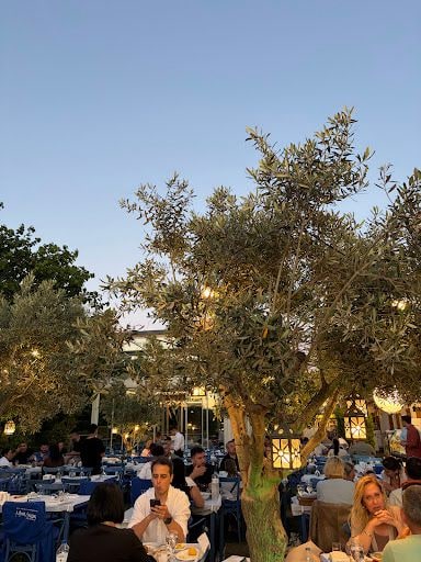 Fotoğraf 14