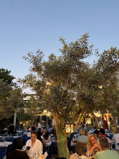 Fotoğraf 15