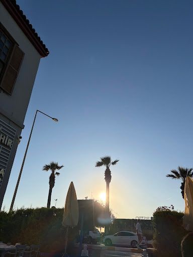 Fotoğraf 17