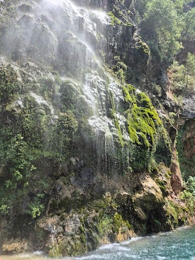 Yorum fotoğrafı 9