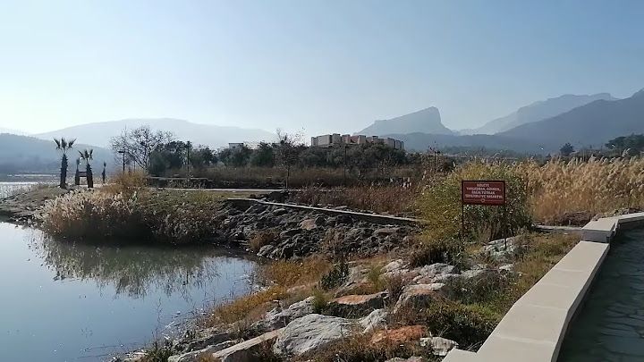 Fotoğraf 33