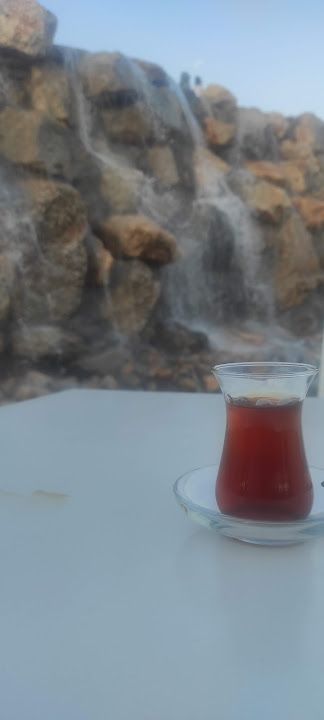 Fotoğraf 36