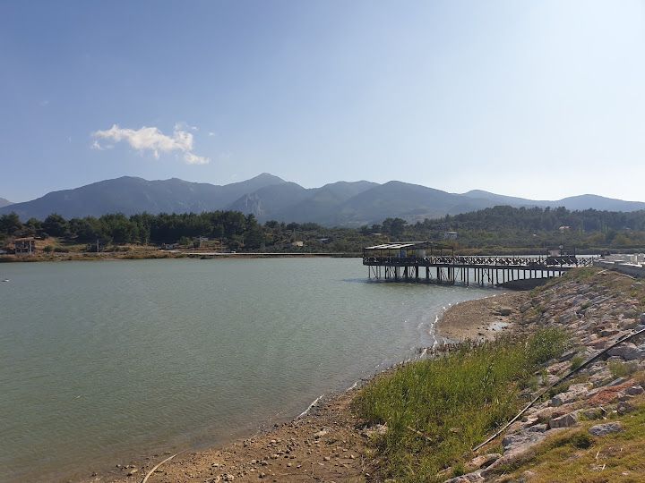 Fotoğraf 52