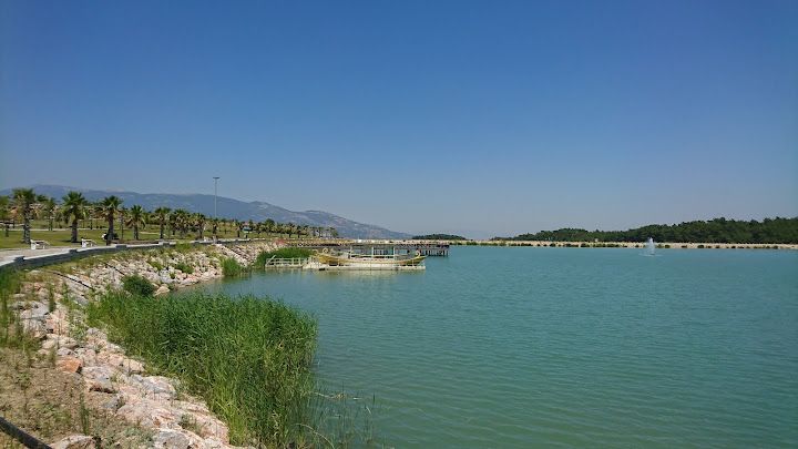 Fotoğraf 53