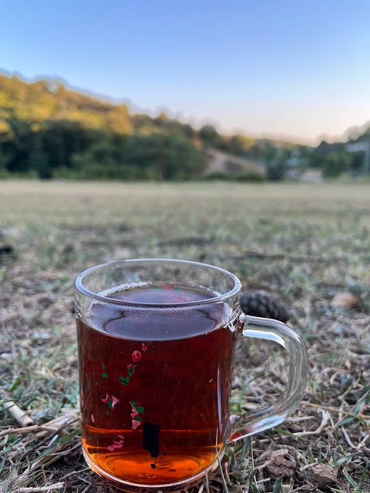 Fotoğraf 47