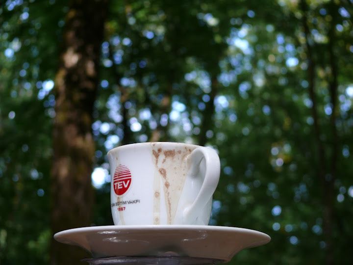 Fotoğraf 45
