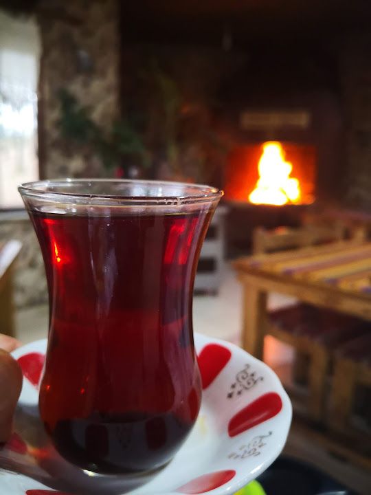 Fotoğraf 37