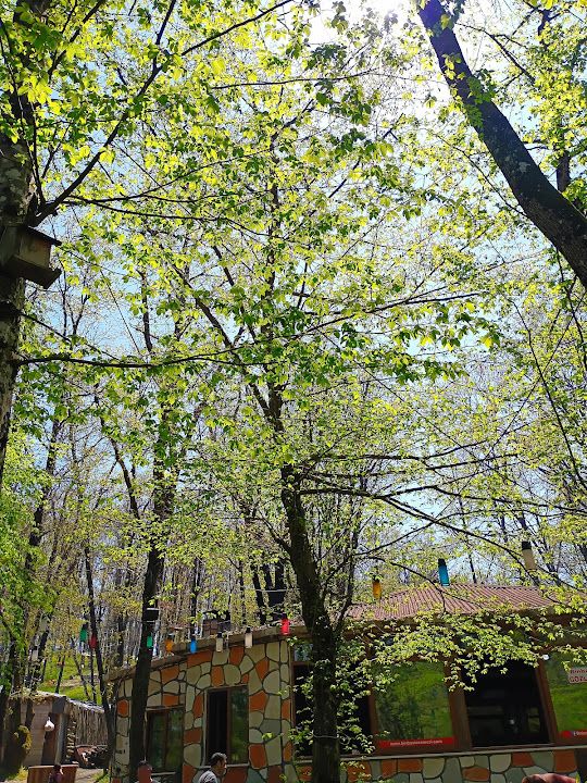 Fotoğraf 32