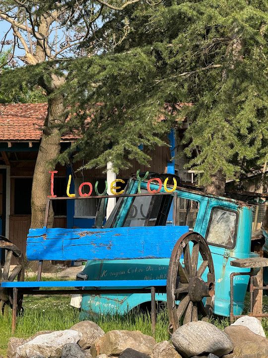 Yorum fotoğrafı 4