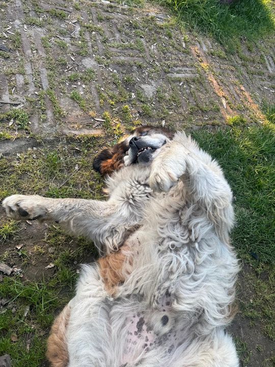 Yorum fotoğrafı 3
