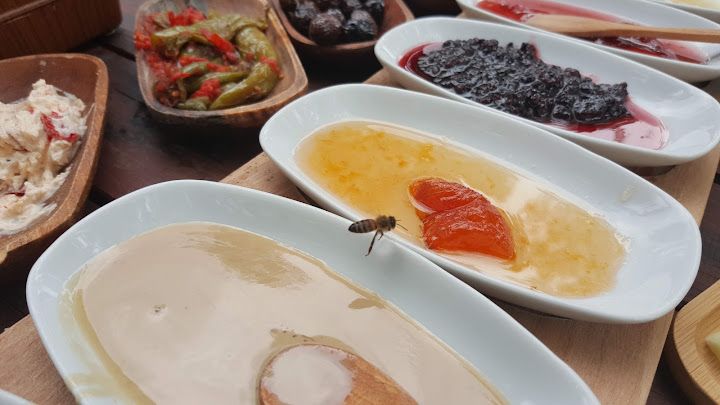 Fotoğraf 39