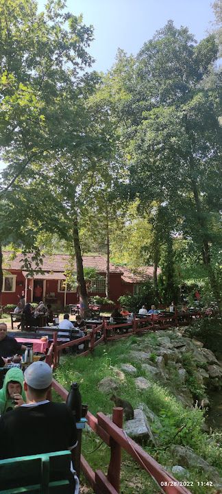 Fotoğraf 65