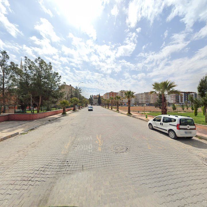 Fotoğraf 6
