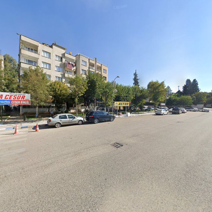 Fotoğraf 8