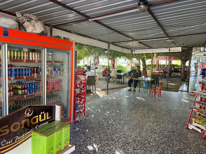 Fotoğraf 3