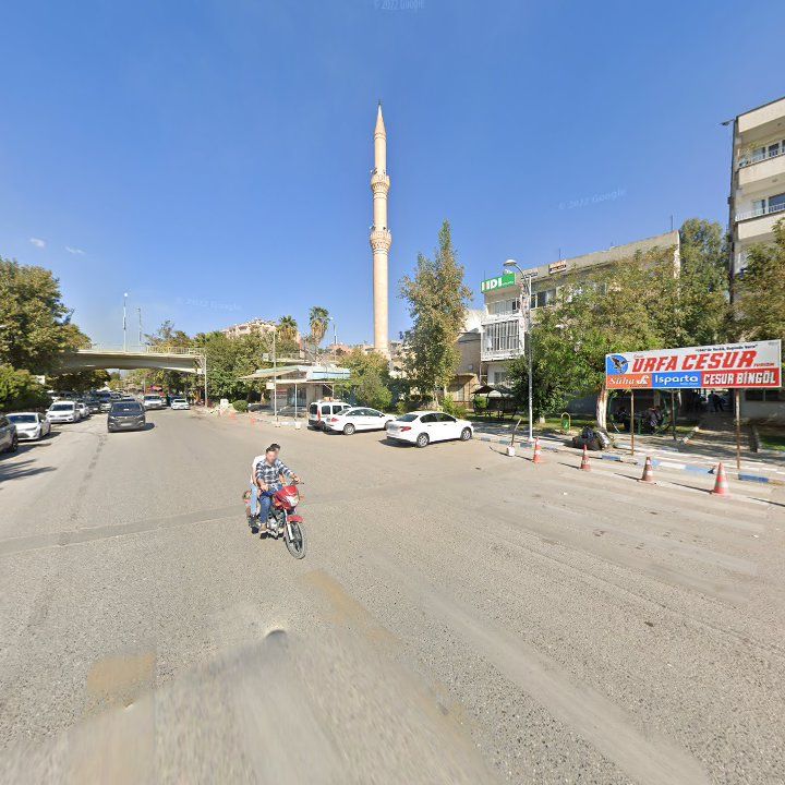 Fotoğraf 7