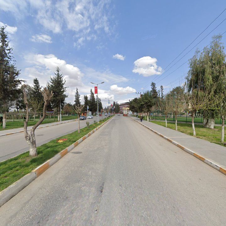 Fotoğraf 6