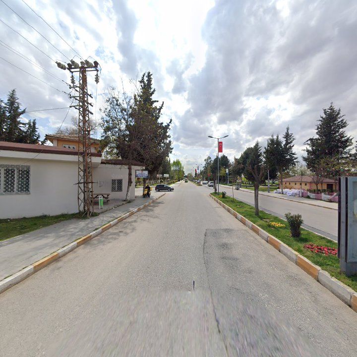 Fotoğraf 8