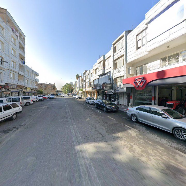Fotoğraf 11