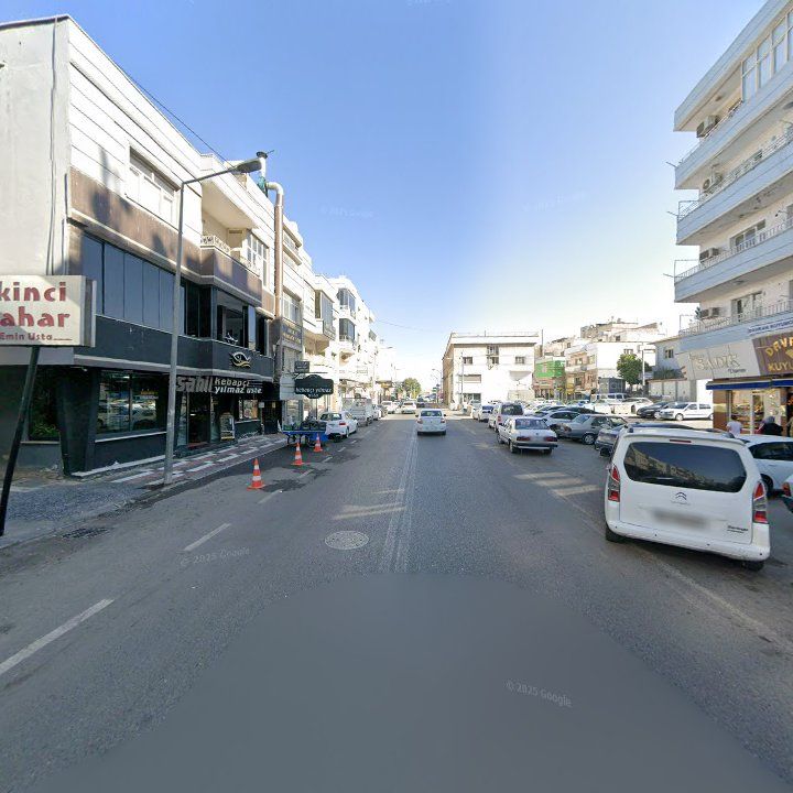 Fotoğraf 10