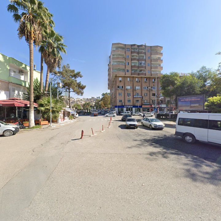 Fotoğraf 8