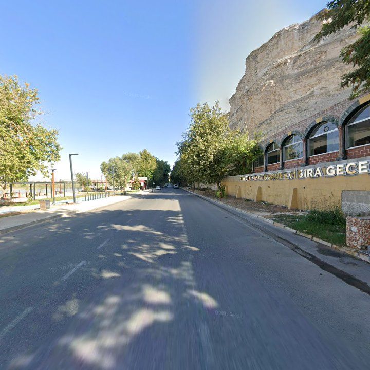 Fotoğraf 10