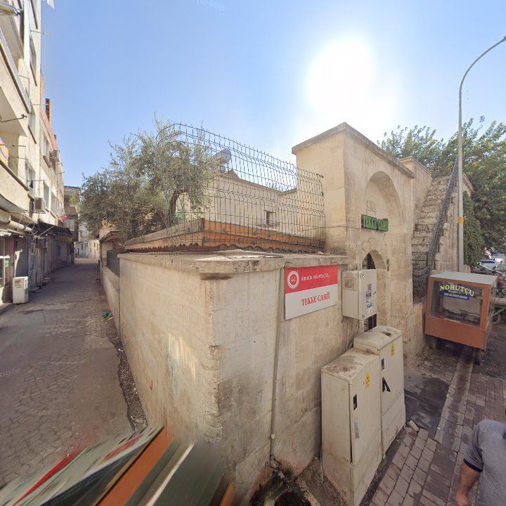 Fotoğraf 7