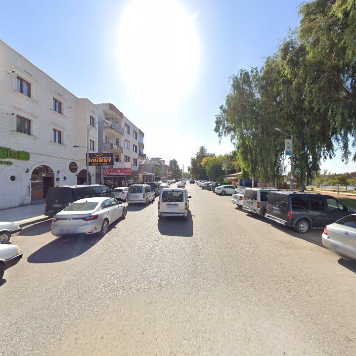 Fotoğraf 10