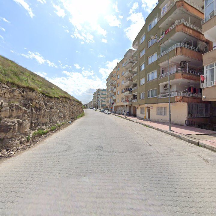 Fotoğraf 8