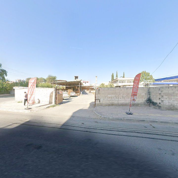 Fotoğraf 9